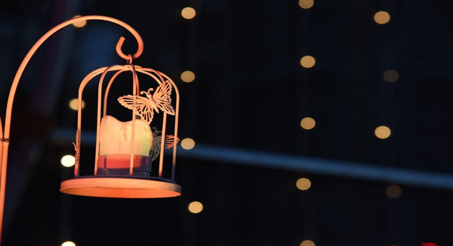 Reception - Oswal Center — event setup by Anjan Enterprise