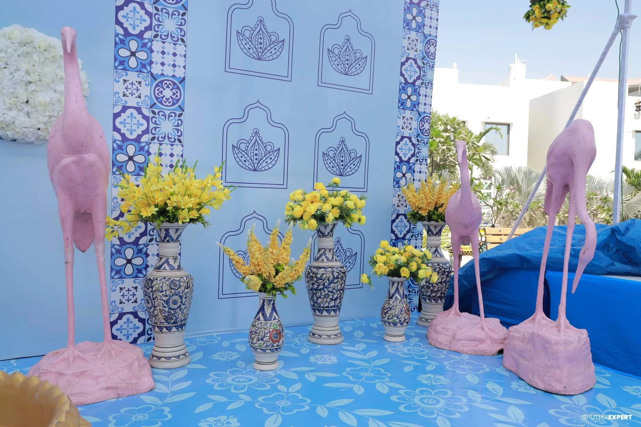 Tanvi's Haldi 5