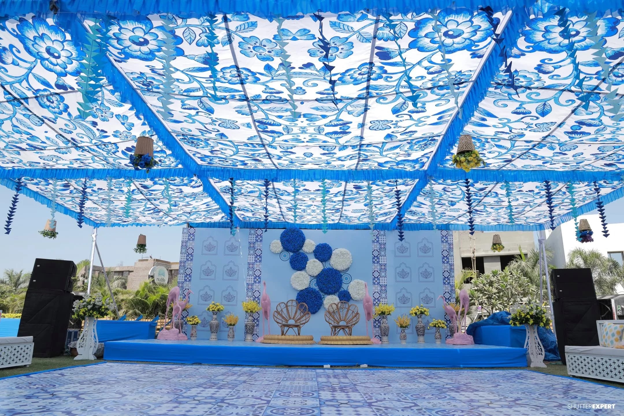 Tanvi's Haldi 2